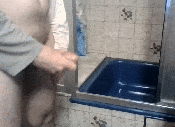 Wix2.gif