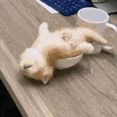 working-siesta.gif