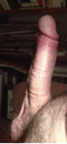 Yimageedit_43_3665904566.gif